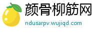 颜骨柳筋网